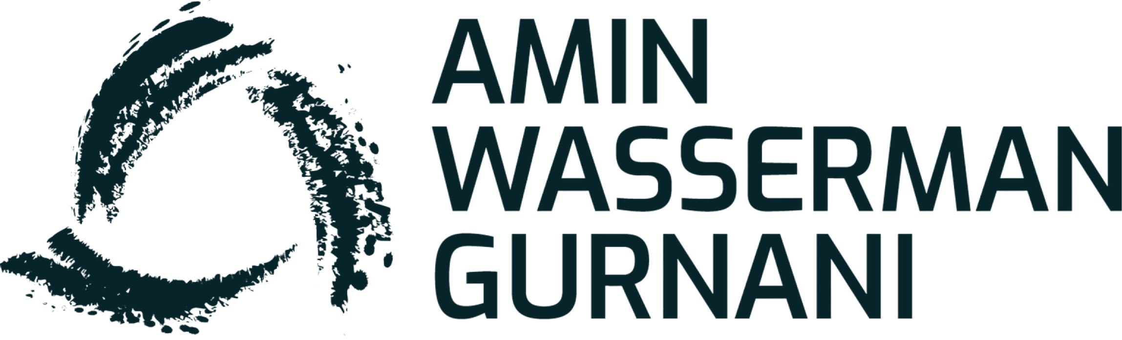 Amin Wasserman Gurnani